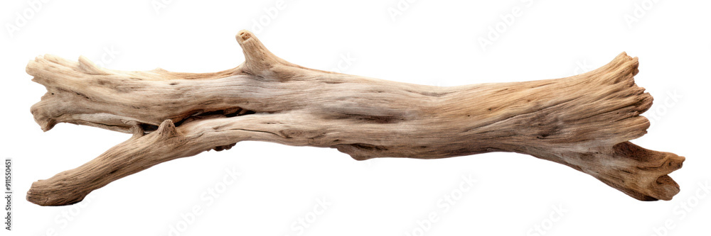 Poster png driftwood plank white background branch timber.