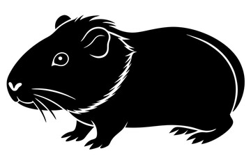 
guinea pig silhouette, Guinea Pig vector illustration