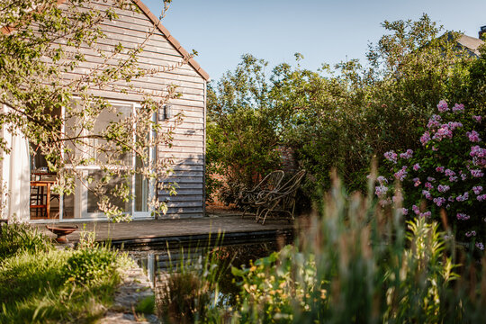 Garden with pond and blooming flowers