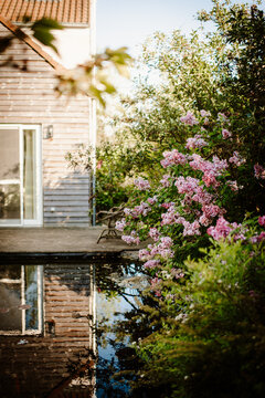 Rural wooden home with a pond and blossoming bushes
