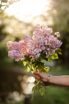 woman holding a bouquet of lilac flowers