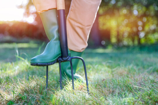 Female legs in green rubber boots and digging with  a pitchfork. Autumn work and cleaning in the garden on a sunny warm autumn day.