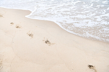 footprints on the sand