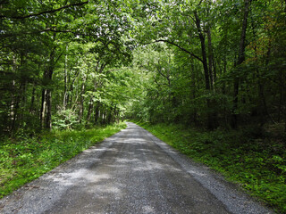 It is a beautiful drive through the woodland forest into McCalls Dam State Park. Woodland scnery, late summer season.