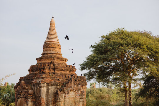 Ancient Temple Stupa with Birds in Flight
