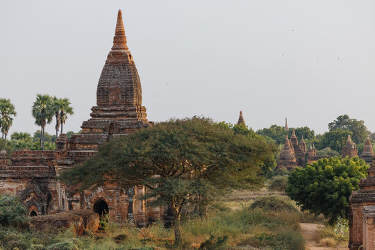 Ancient Temple in a Verdant Landscape
