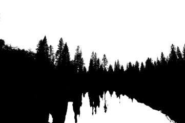 A night view of a silhouetted treeline and a distorted reflection in a small pond. The sky and the reflected sky are transparent.
