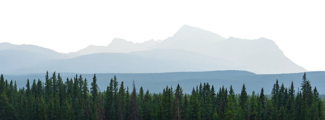 Panoramic view of a mountain scene with green evergreen trees in the foreground and misty mountains in the distance. The sky is transparent.
