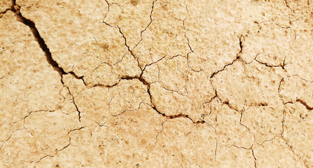 The ground has cracks in the top view for the background