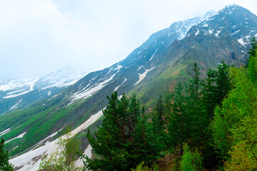 Dramatic view of the picturesque mountain slope with fir trees in the foreground in bad weather. Caucasus