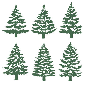 Snowy pine tree illustration. Set of snowy pine tree vector illustration. Set of Christmas trees