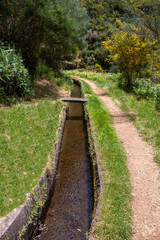 Fresh spring nature and a levada, Madeira, Portugal