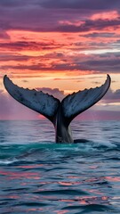 Fototapeta premium A whale tail that can be seen from behind the camera emerging from the waters 
