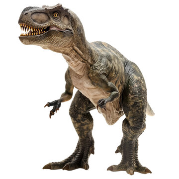 recommend clip art: Allosaurus isolated on white or transparent background, png clipart, design element. Easy to place on any other background.