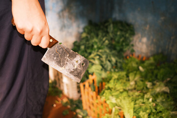 Hand Holding Cleaver Knife with Fresh Vegetables