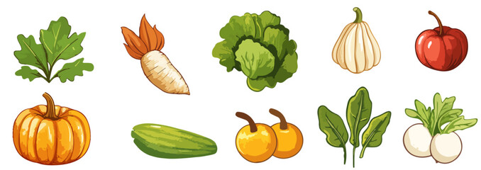  Vibrant autumn farm and garden vegetables collection featuring pumpkins, tomato,  radish, cucumber, radishes, cabbage. Colorful fall harvest. Happy Thanksgiving . Vector illustration