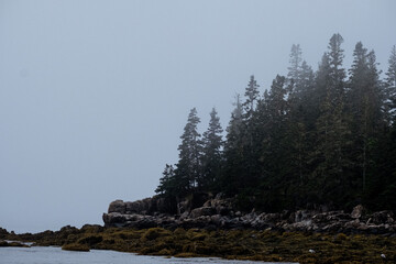 seal cove point