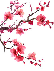 Naklejka premium cherry blossom sakura