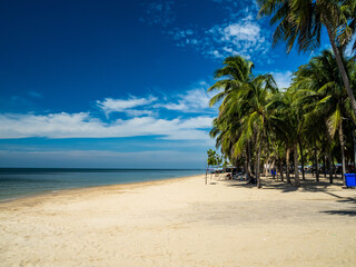 Landscape summer panorama front view tropical palm and coconut trees sea beach blue white sand sky background calm Nature ocean Beautiful  wave water travel Bangsaen Beach East thailand Chonburi