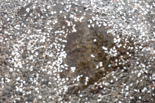 Closeup view of roadway with water in pothole