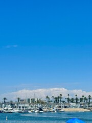 boats in marina