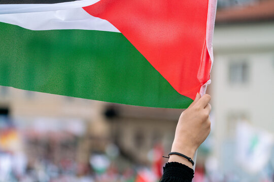 An anonymous crowd holding Palestinian flags