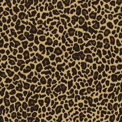 
leopard design hairy background leather texture fashionable print