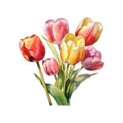 Watercolor flowers of spring season vector ilustration, white background