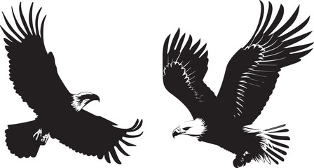 Eagle in flight Silhouette Vector