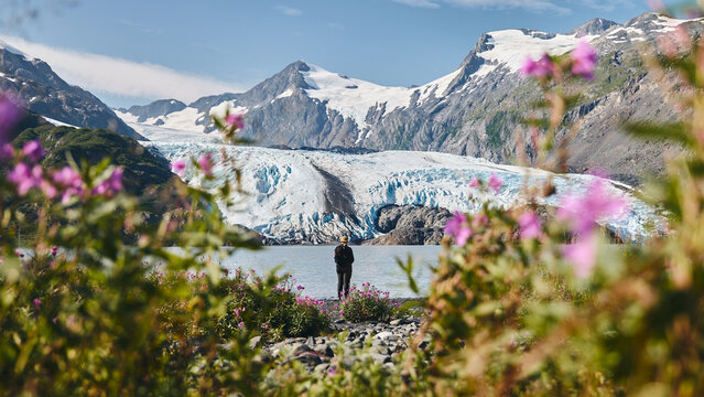 Alaska hiker lake glacier and flowers 