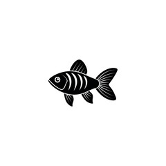 glofish on white background