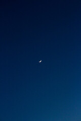 moon in the blue