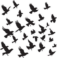 Set of silhouettes of birds
