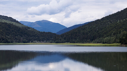 Colorful landscape with forest, lake, reflection in water