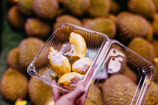 Fresh Durian Segments in Plastic Container