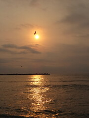 Varna sea and nature in Bulgaria