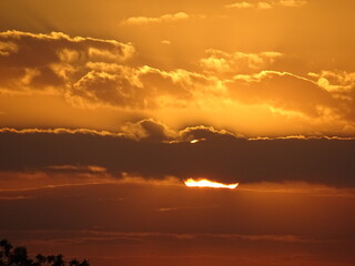 Varna sea and nature in Bulgaria