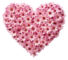 PNG Flower petal plant inflorescence.