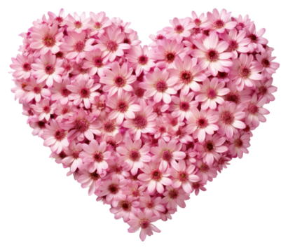 PNG Flower petal plant inflorescence. - Powered by Adobe