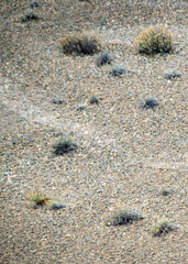 Steppen landscape at peninsula valdes, chubut, argentina