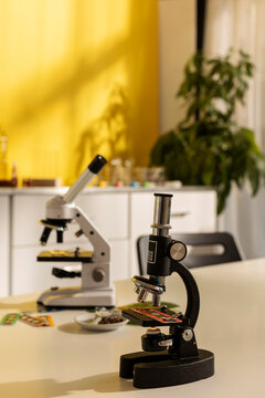 microscope at science lab