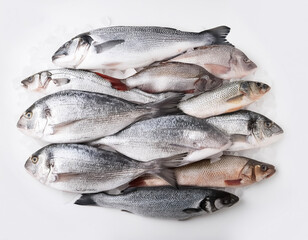 Frozen fresh fish isolated on white background