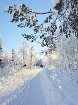 winter wonderland landscape in the woods around oslo, Norway