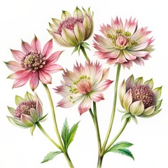 Obraz premium Watercolor Bouquet of Pink and Green Flowers, Watercolor Painting, Floral Art, Flower Illustration, Botanical Art, flower, art