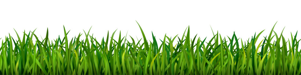 Vibrant green grass seamless pattern on white background, vector illustration