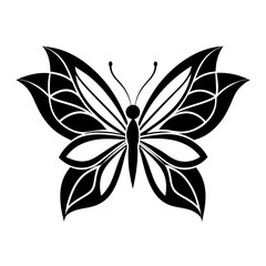 Butterfly Vector 