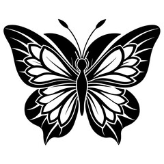 Butterfly Vector 