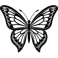 Butterfly Vector 