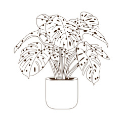 Plantas de casa Monstera. Vector con contorno de planta en maceta. Flor interior de arte lineal en una maceta. Doodle sketch planta de la casa en una olla para la decoraci&oacute;n del hogar. Eleme