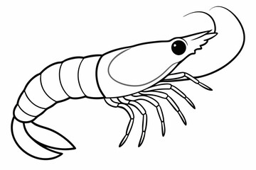 shrimp line art vector , shrimp icon vector, Sea lobster	
